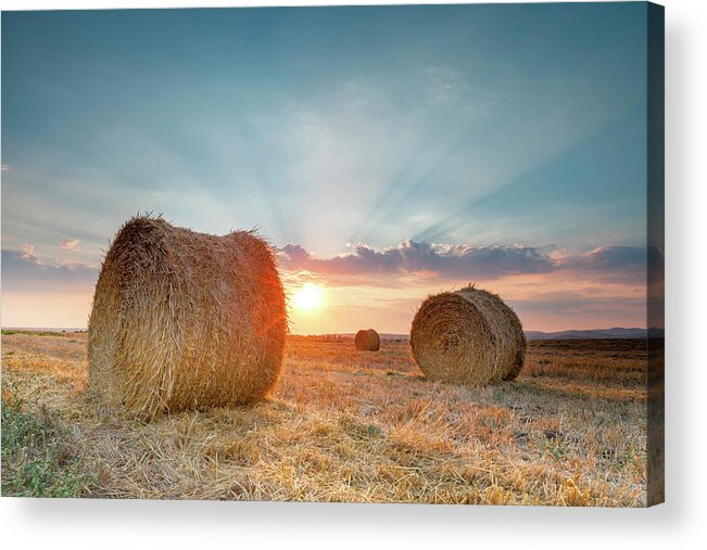 Tranquility Acrylic Print featuring the photograph Sunset Bales by Evgeni Dinev Photography