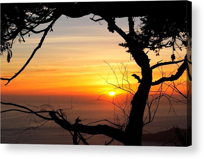 Sunset Acrylic Print featuring the photograph Sunset in a Tree Frame by Alexander Fedin