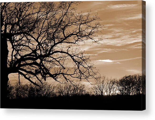 Sunset Acrylic Print featuring the photograph Sunset in Sepia C by Jeanne May