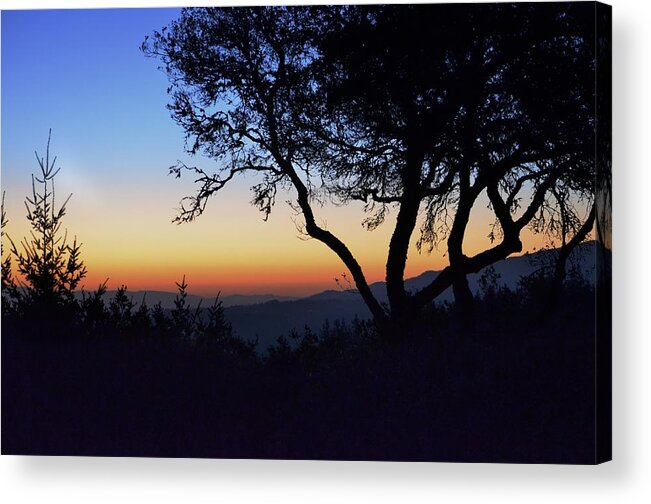 Sunset Acrylic Print featuring the photograph Sunset in Woodside by Alex King