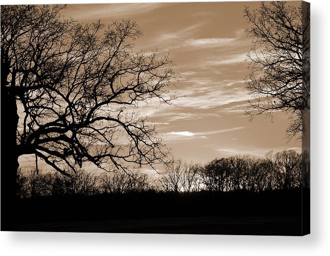 Sunset Acrylic Print featuring the photograph Sunset is Sepia by Jeanne May