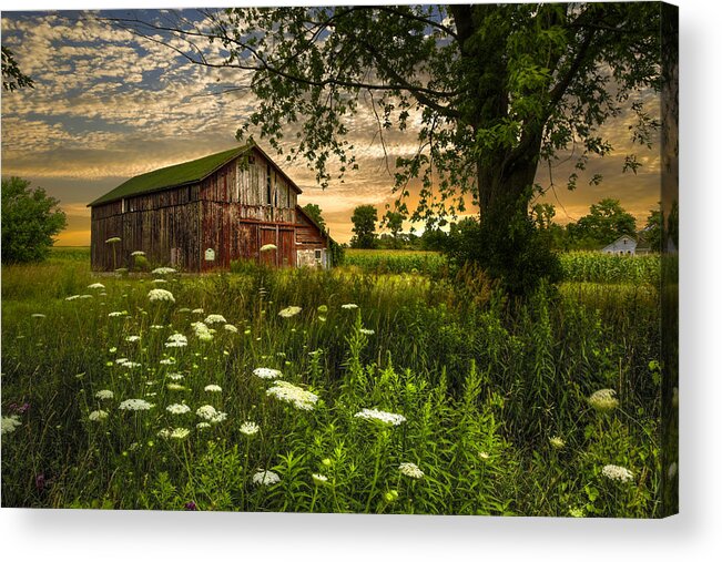 Appalachia Acrylic Print featuring the photograph Sunset Lace by Debra and Dave Vanderlaan