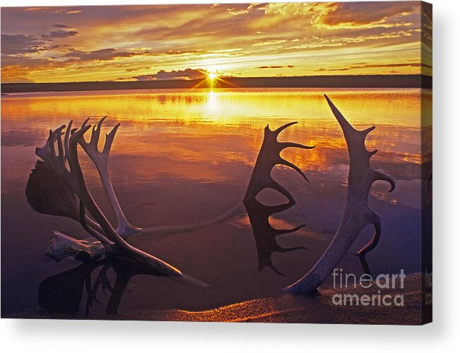 Whitefish Lake Acrylic Print featuring the photograph Sunset on Caribou Antlers in Whitefish Lake by Dave Welling