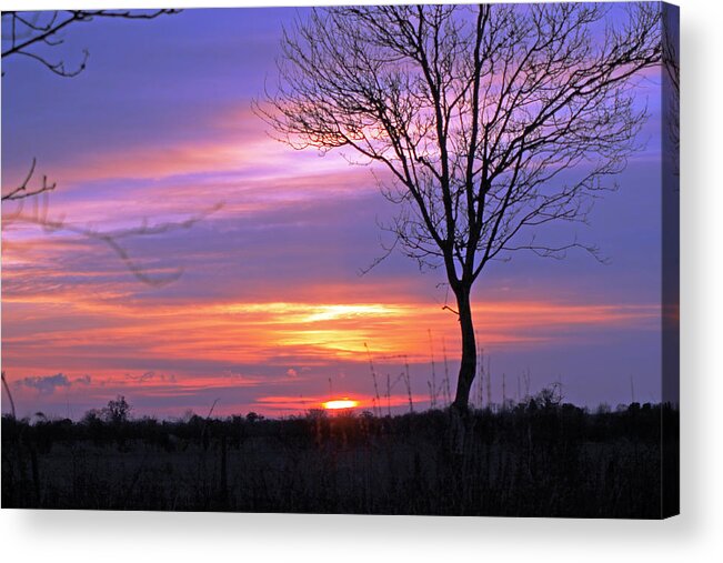 Sunset Acrylic Print featuring the photograph Sunset by Tony Murtagh