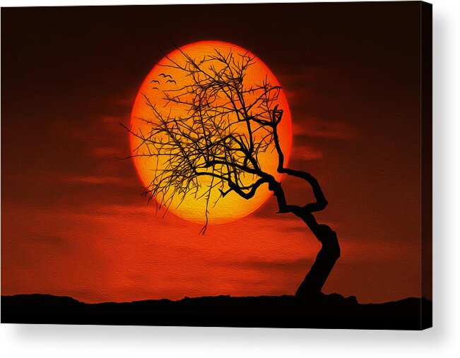 Amazing Nature Acrylic Print featuring the photograph Sunset tree by Bess Hamiti