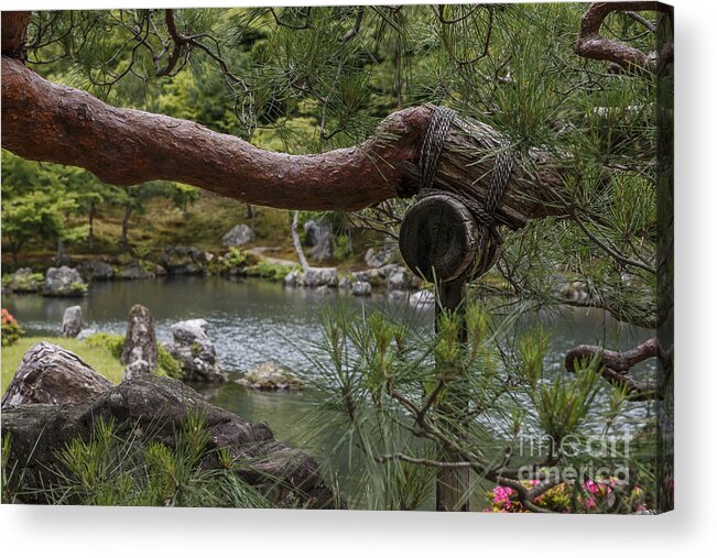 Japan Acrylic Print featuring the photograph Support Branch by Scott Kerrigan