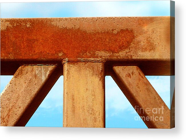 Metal Acrylic Print featuring the photograph Support by Cristophers Dream Artistry