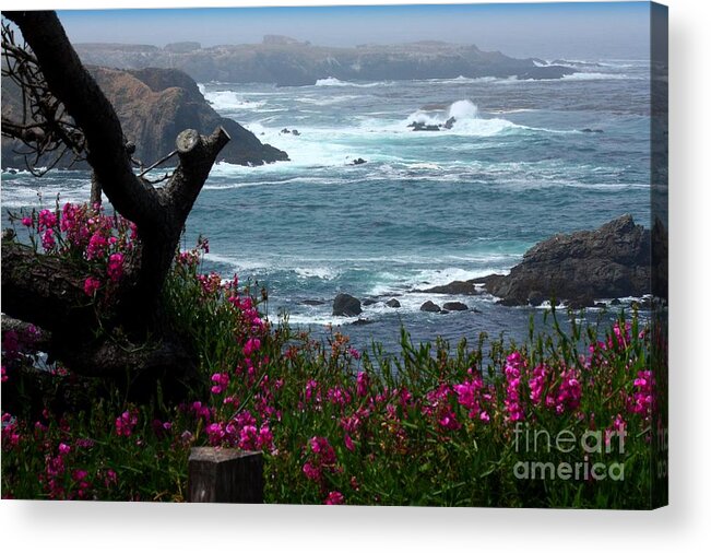 Surf And Turf Acrylic Print featuring the photograph Surf and Turf by Patrick Witz