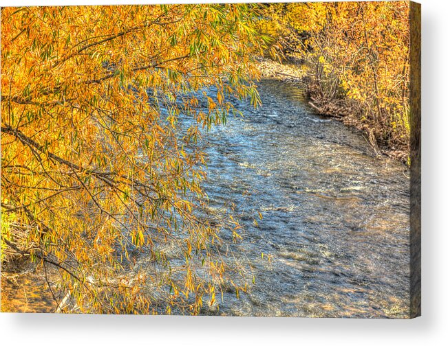 Reflections Acrylic Print featuring the photograph Surrounded By Gold by Jennifer Grossnickle