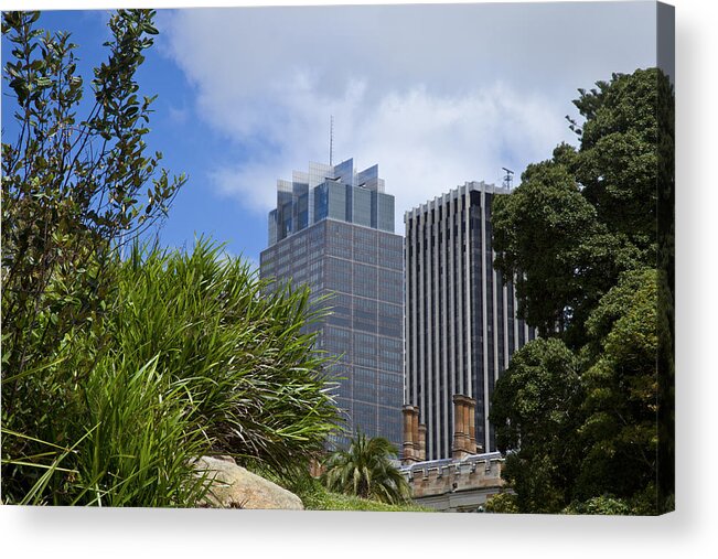 Corporate Business Acrylic Print featuring the photograph Sydney Cbd Cityscape Seen Beside Plants by Leopatrizi