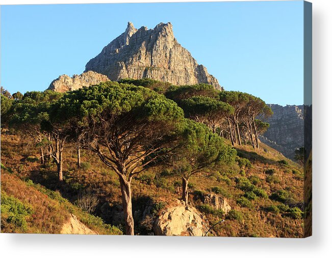 Africa Acrylic Print featuring the photograph Table Mountain View by Aidan Moran