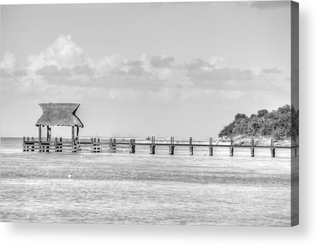 Pier Acrylic Print featuring the photograph Take a Long Walk Off a Short Pier by Bill Hamilton