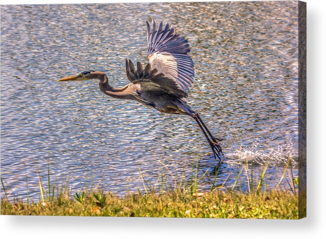 America Acrylic Print featuring the photograph Take Off by Traveler's Pics