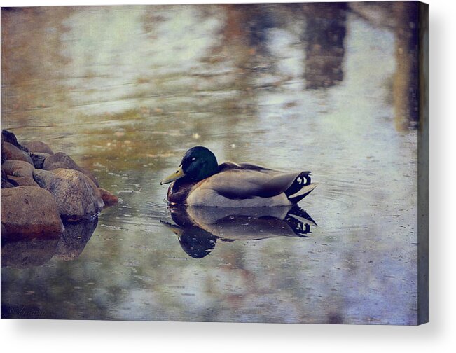 Green Acrylic Print featuring the photograph Taking A Nap by Maria Angelica Maira