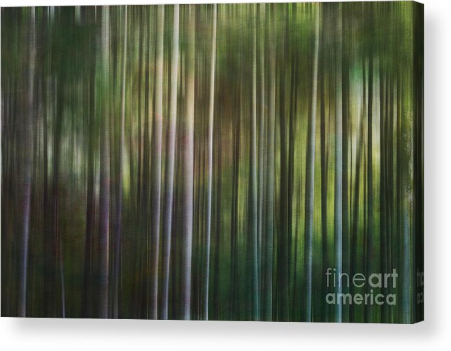 Pine Trees Acrylic Print featuring the digital art Tall Pines by Jayne Carney