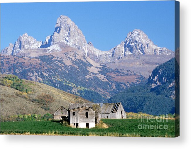 Tetons Acrylic Print featuring the photograph Teton Mountains by William H. Mullins