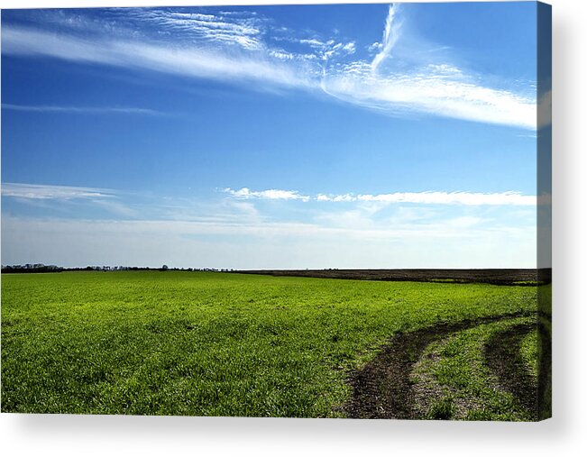 Field Acrylic Print featuring the photograph Texas Fields in Springtime by Mark McKinney
