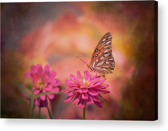 Joel Olives Acrylic Print featuring the photograph Textured Gulf Fritillary by Joel Olives