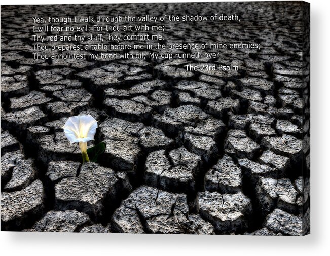Bible Acrylic Print featuring the photograph The 23rd Psalm by Mark Duffy