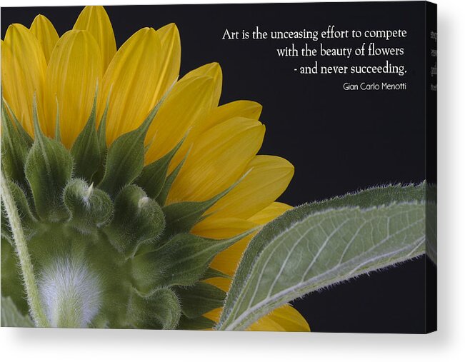 Flowers Acrylic Print featuring the photograph The Art of Nature by W Chris Fooshee