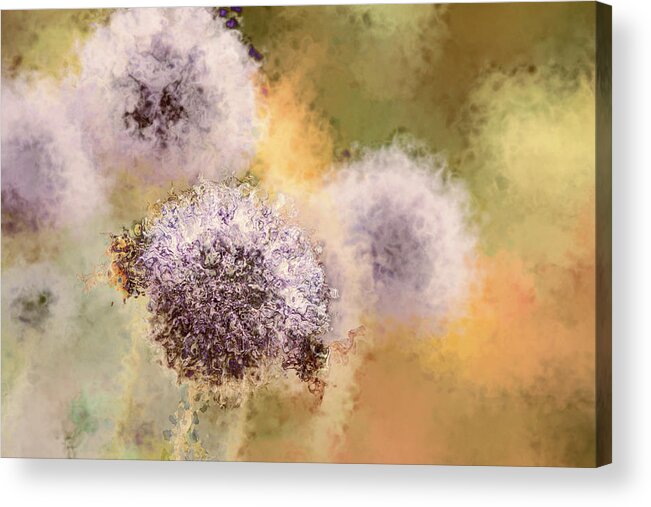 Abstract Floral Acrylic Print featuring the photograph The Art of Pollination by Peggy Collins