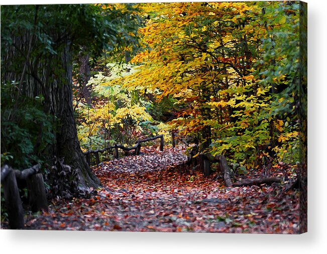 Manhattan Acrylic Print featuring the photograph The Autumn Path by Yue Wang