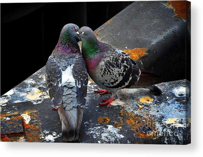 Abstract Acrylic Print featuring the photograph The Bliss of a Kiss by Lauren Leigh Hunter Fine Art Photography