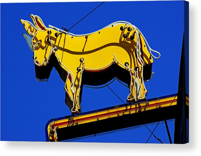 Golden Burro Acrylic Print featuring the photograph The Brass Ass by Daniel Woodrum