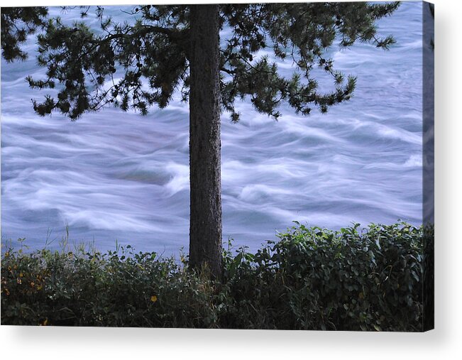 Canada Acrylic Print featuring the photograph The Bulkley River by Mary Lee Dereske