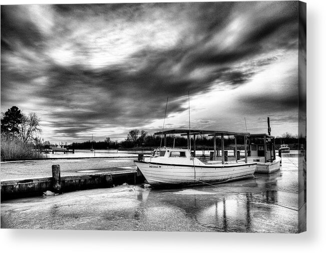 Fish Acrylic Print featuring the photograph The Calm Before by JC Findley