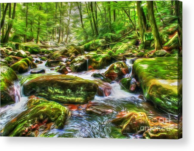 Day Acrylic Print featuring the photograph The Emerald Forest 15 by Dan Stone