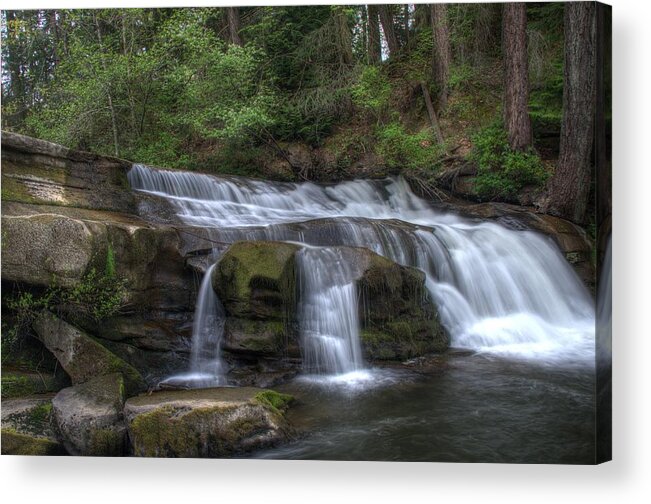 Falls Acrylic Print featuring the photograph The Falls at Bowen Park by Kathy Paynter