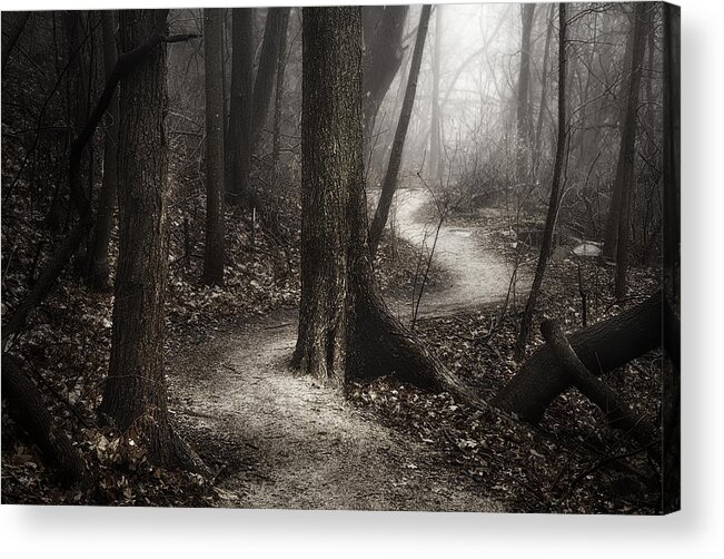 Path Acrylic Print featuring the photograph The Foggy Path by Scott Norris