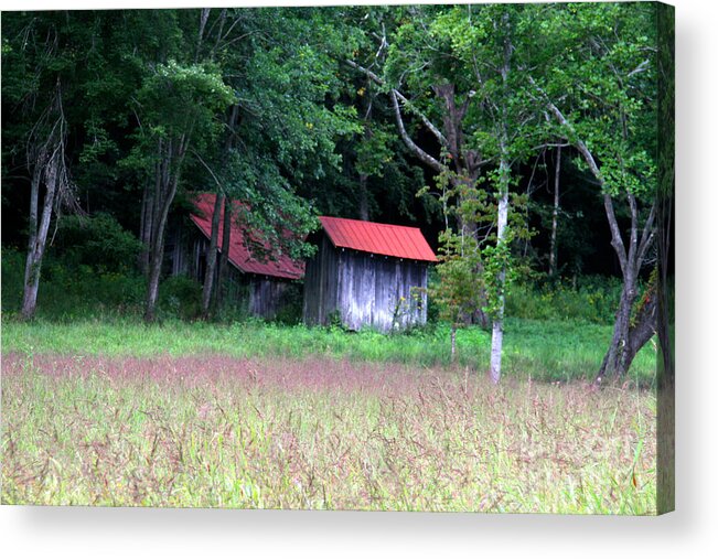Field Acrylic Print featuring the photograph The Forgotten Meadow by Robert Pearson