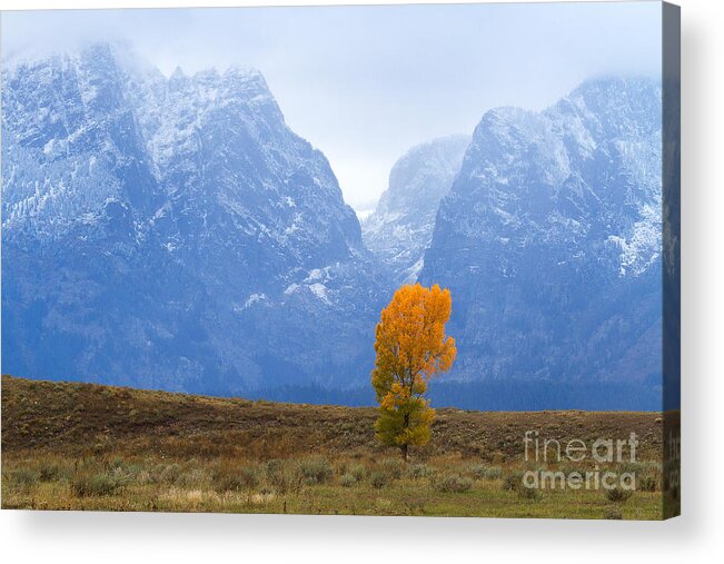 Tetons Acrylic Print featuring the photograph The Gate Keeper by Jim Garrison