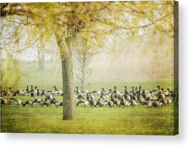 Flock Acrylic Print featuring the photograph The Gathering by Cathy Kovarik