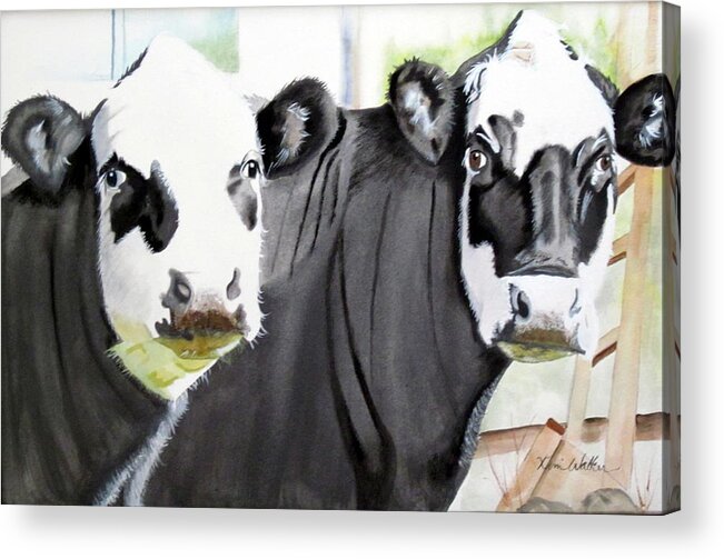 Cow Acrylic Print featuring the painting The Girls Next Door to WVFC by Kimberly Walker