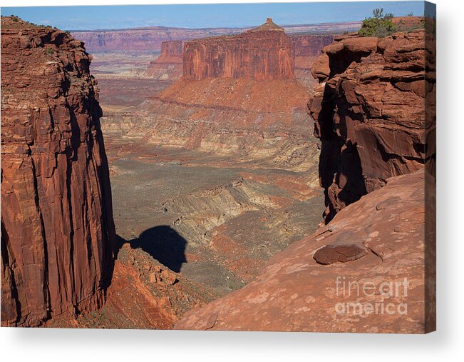 Canyonlands Acrylic Print featuring the photograph His Eye is on the Sparrow by Jim Garrison