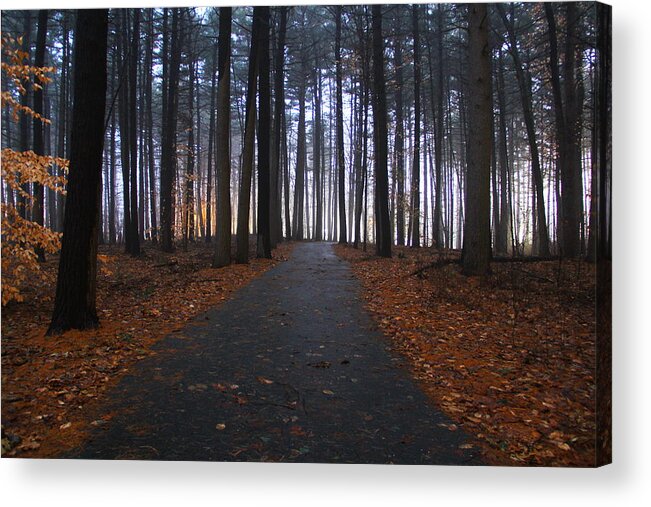 Path Acrylic Print featuring the photograph The Great Path by Andrea Galiffi