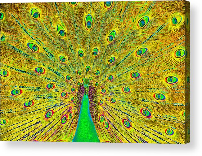 Art Acrylic Print featuring the digital art The Great Peacock by David Lee Thompson