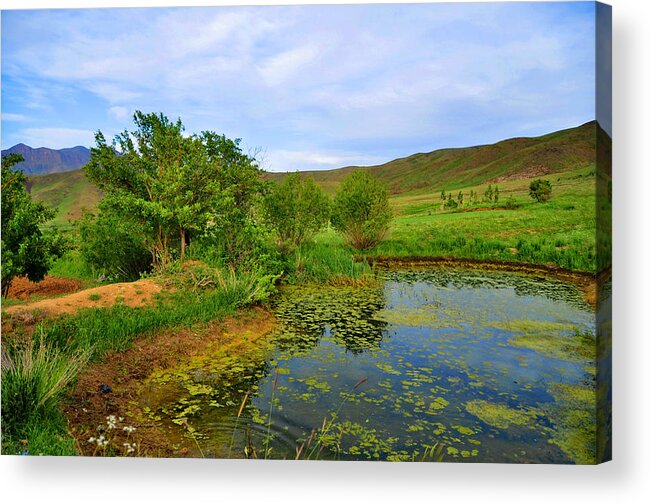 The Green Lake - Mostafa Tartak Acrylic Print featuring the photograph The Green Lake by Mostafa Tartak