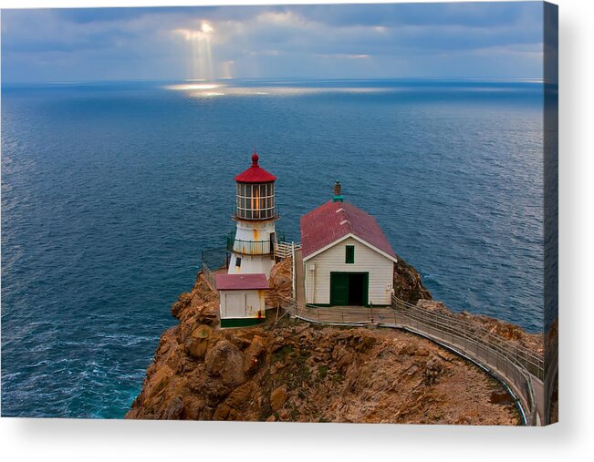 Nature Acrylic Print featuring the photograph The Guardian by Jonathan Nguyen