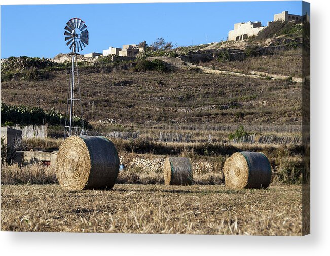 Sulla Acrylic Print featuring the photograph The Harvest by Focus Fotos