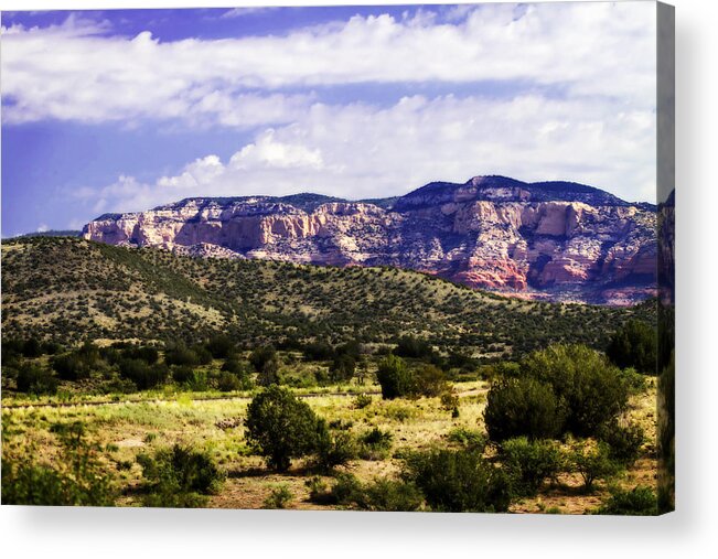 Color Acrylic Print featuring the photograph The High Desert -2 by Alan Hausenflock