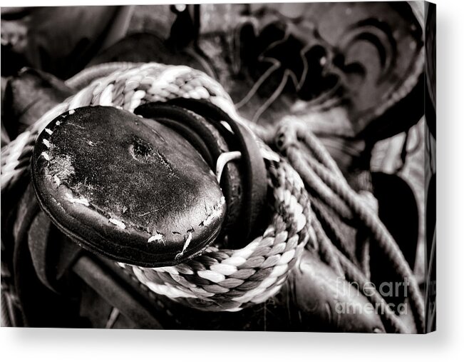 American Acrylic Print featuring the photograph The Horn by Olivier Le Queinec