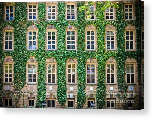Princeton University Acrylic Print featuring the photograph The Ivy Walls by Colleen Kammerer