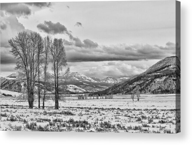 Yellowstone Acrylic Print featuring the photograph The Lamar Valley by Jared Perry 