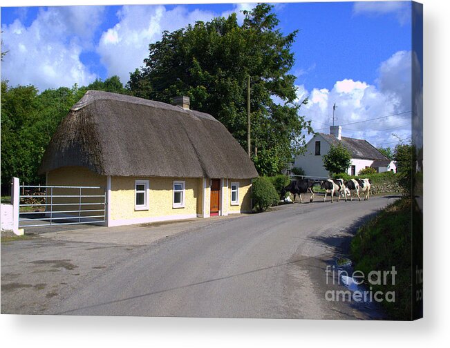 Thatched Cottage Acrylic Print featuring the photograph The old thatched cottage by Joe Cashin