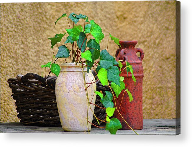 Vase Acrylic Print featuring the photograph The Old Times by Carolyn Marshall