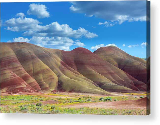Tranquility Acrylic Print featuring the photograph The Painted Hills, Near Mitchell, Oregon by Bob Pool